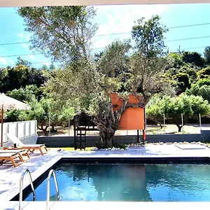 Fountain Pool Vila *