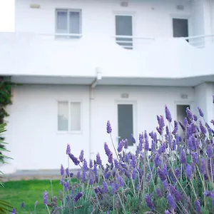 Levanda * 팔리라키