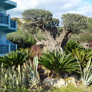 Argiro Village 3* Afantou