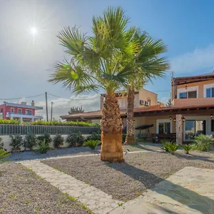 Palm View Gennadi
