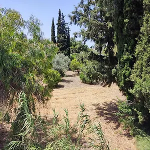 Callas Ialysos (Rhodes)