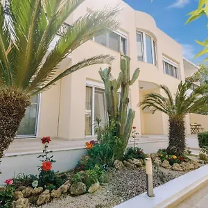 Petunia Garden View *