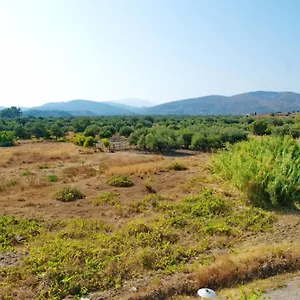 Paul's Garden