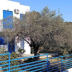 Blue *