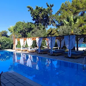 Trees Art & 3* Ixia (Rhodes)
