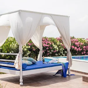 White Blue *